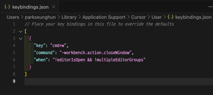 적용 시 Keyboard Shortcuts json